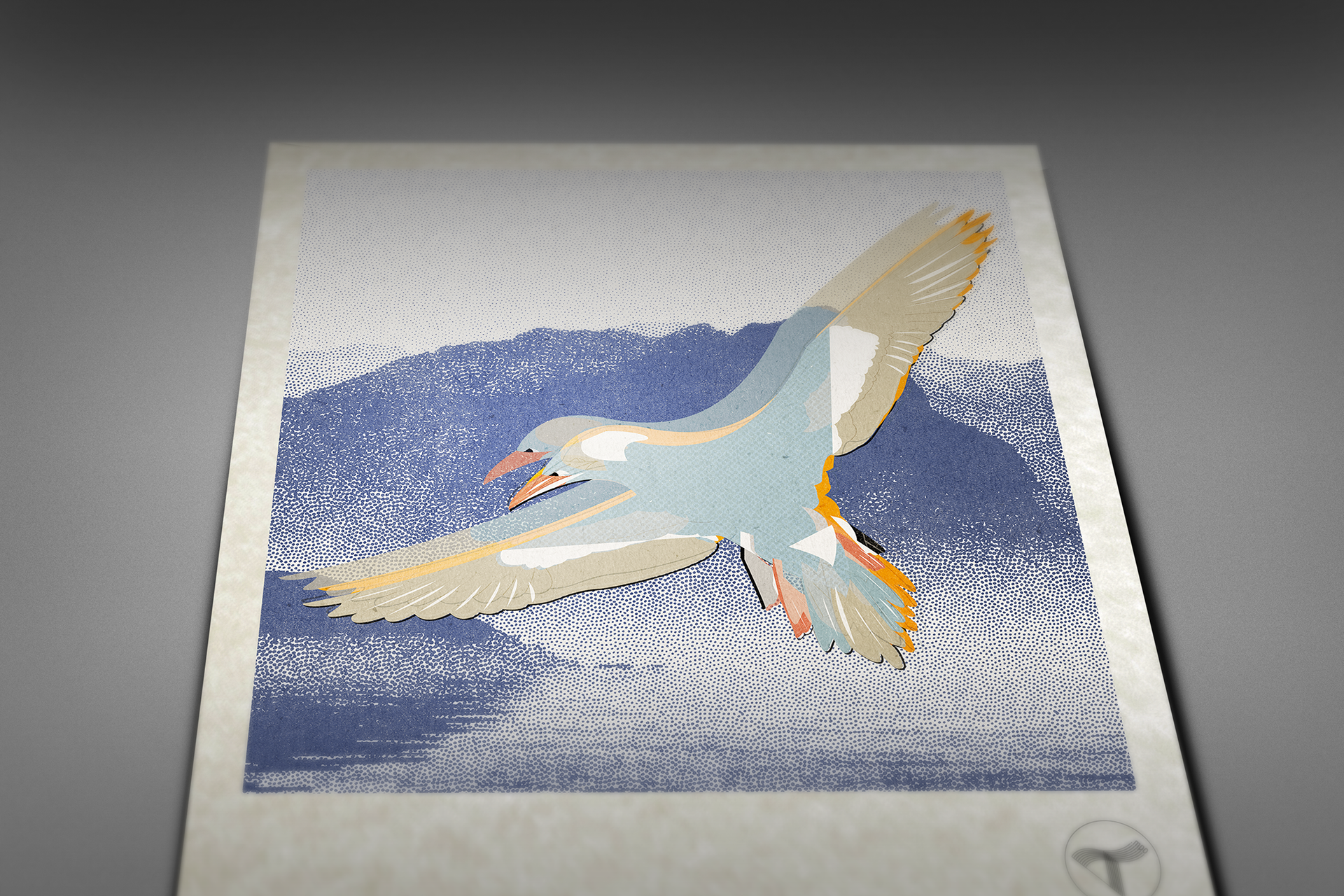 bird 1